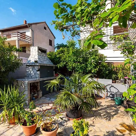 Susnjar - Biograd Riviera 17877 Kruševo
