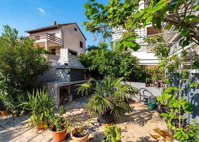 Susnjar - Biograd Riviera 17877 Kruševo